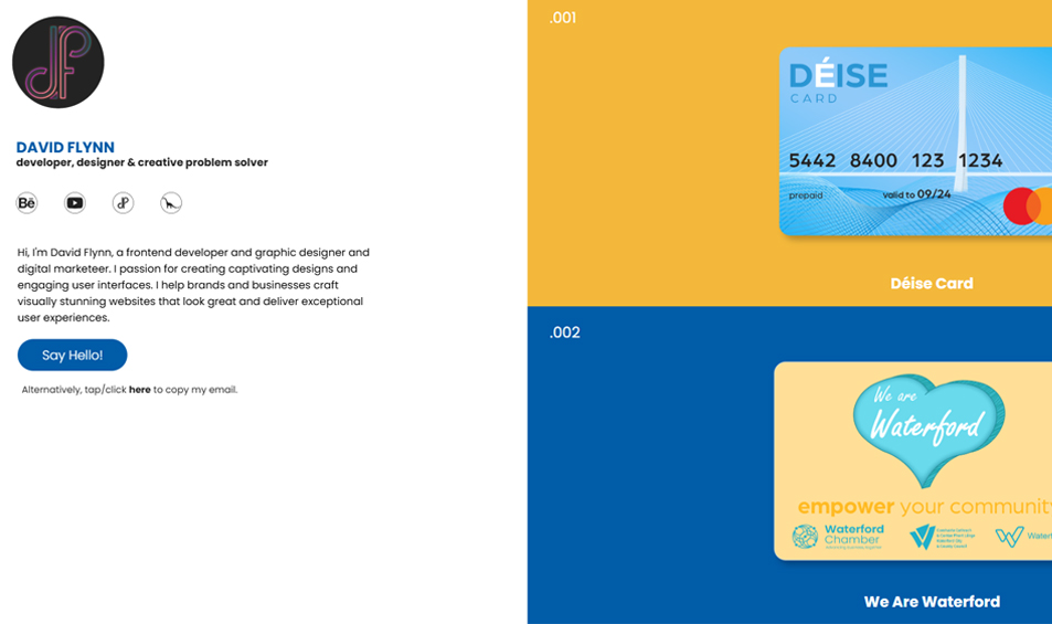 david.flynn.pro - Portfolio Image