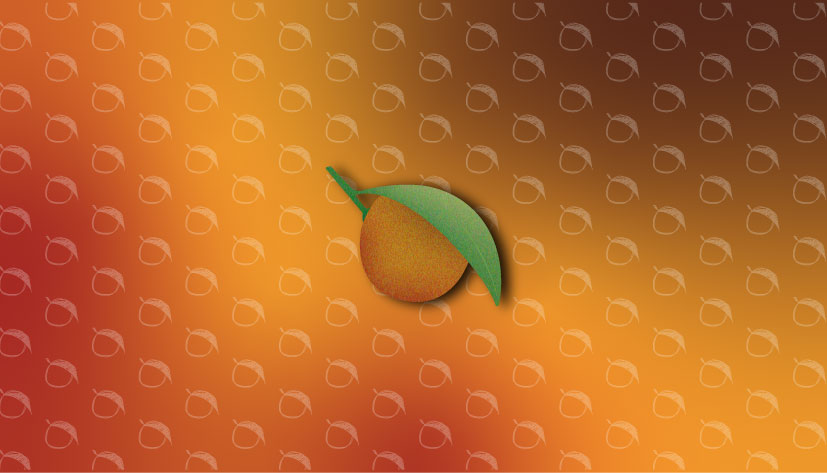 Satsuma Business Card Back
